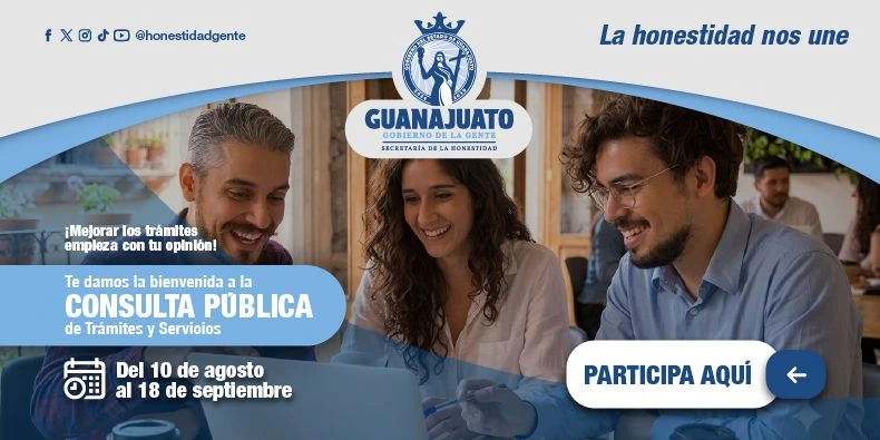 Consulta Pública