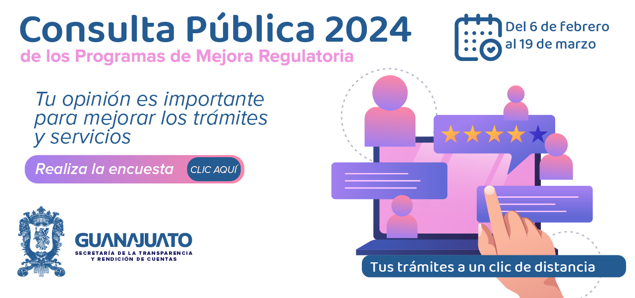 Consulta Pública 2024